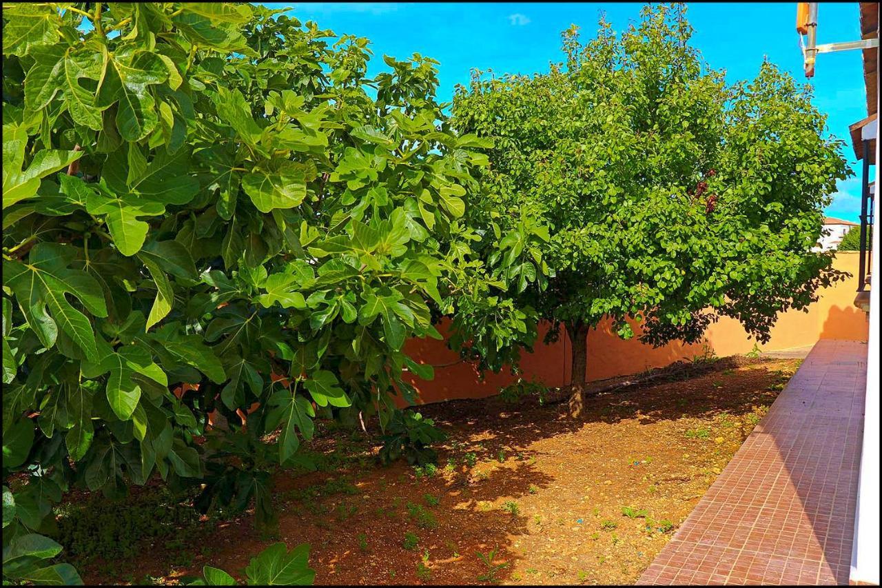 Chalet Rustico Roche Конил-де-ла-Фронтера Екстериор снимка